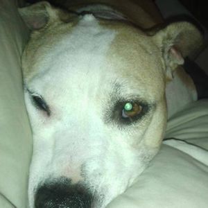 Meet your Posher, Jeanette